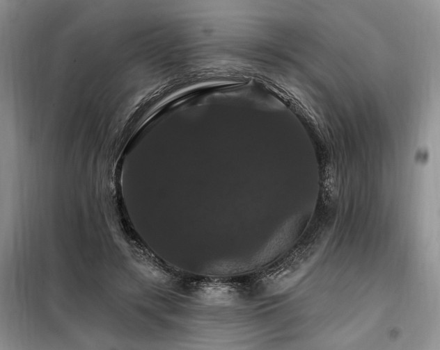X0000098130547200804171524