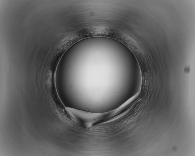 X0000098130550200804171524