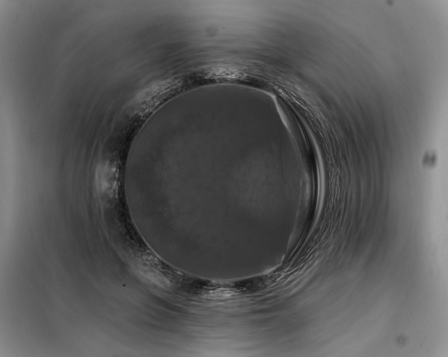 X0000098130551200804171524