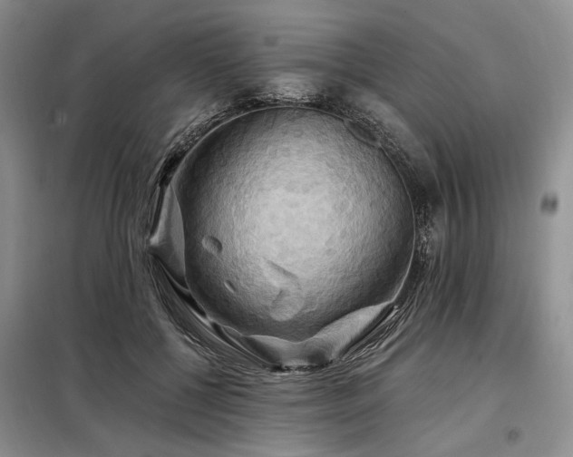 X0000098130552200804171524