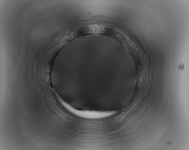 X0000098130553200804171524
