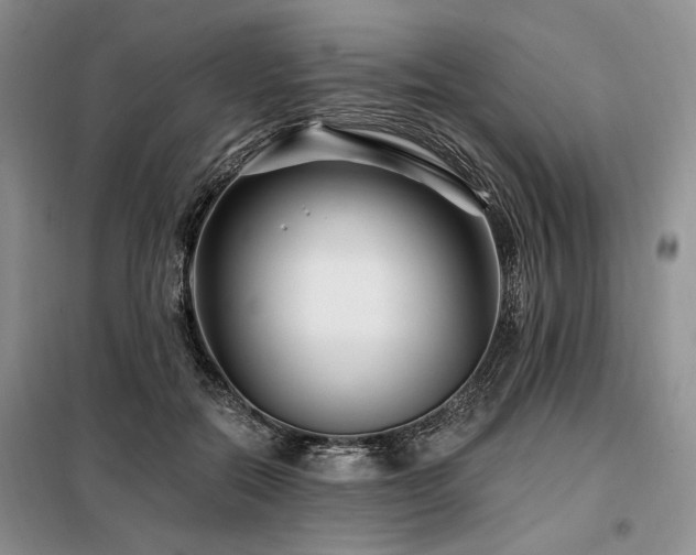X0000098130554200804171524