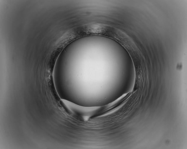 X0000098130555200804171524