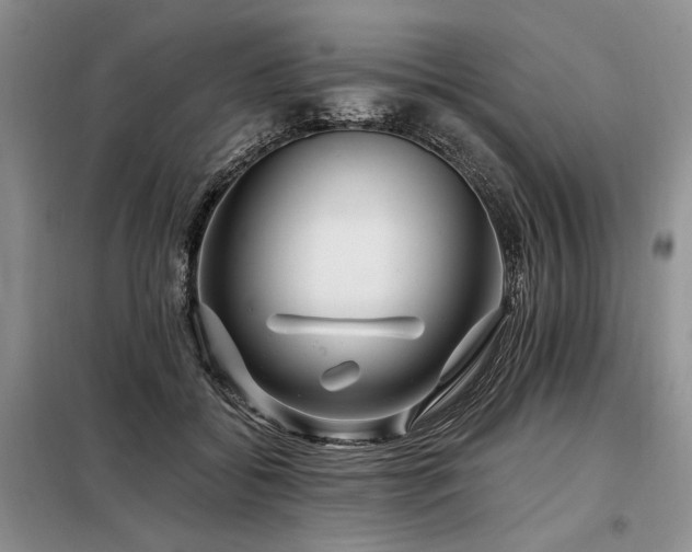 X0000098130556200804171524