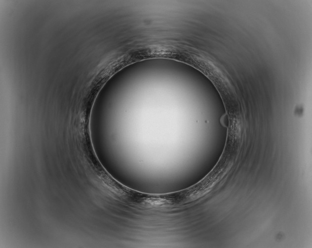 X0000098130557200804171524