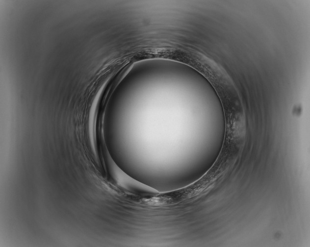 X0000098130558200804171524