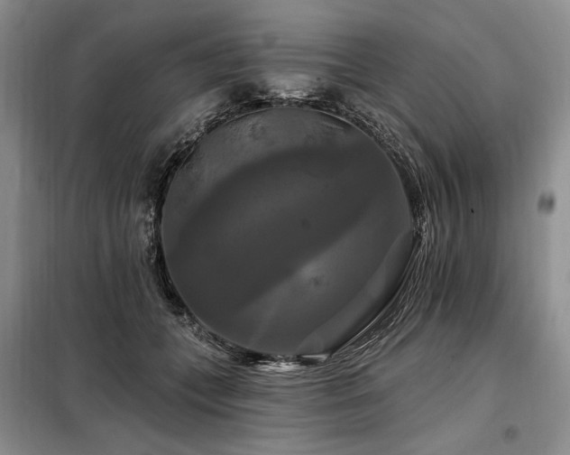 X0000098130559200804171524
