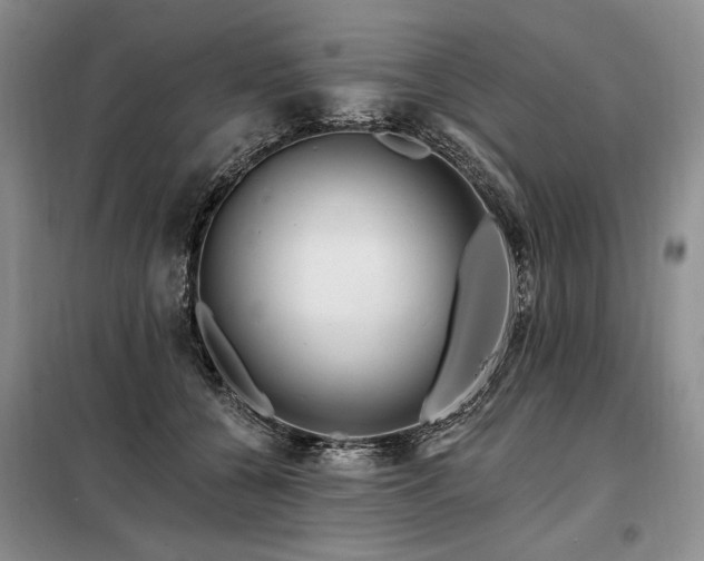 X0000098130560200804171524