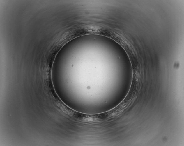X0000098130561200804171524