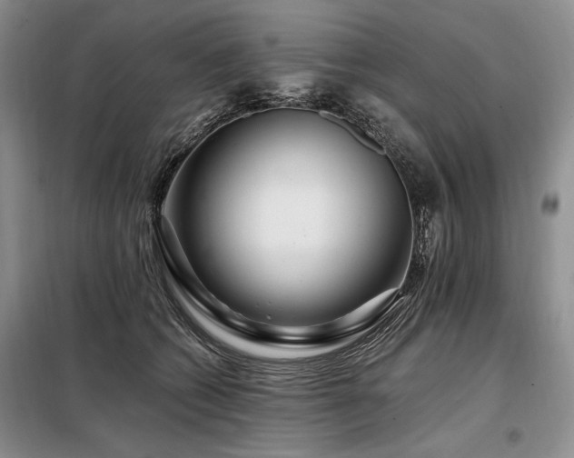 X0000098130562200804171524