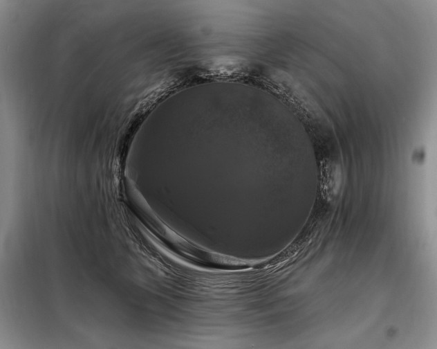 X0000098130563200804171524