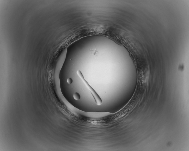 X0000098130564200804171524