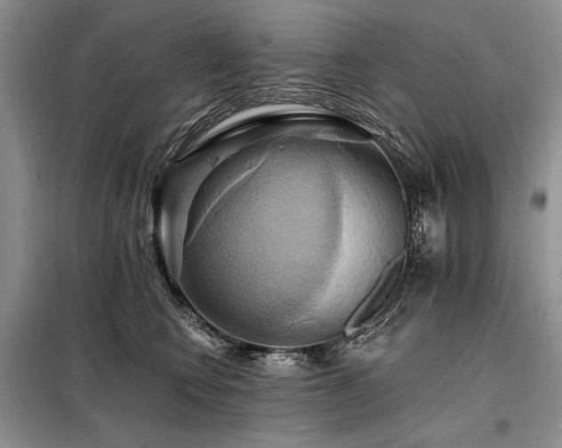 X0000098130566200804171524