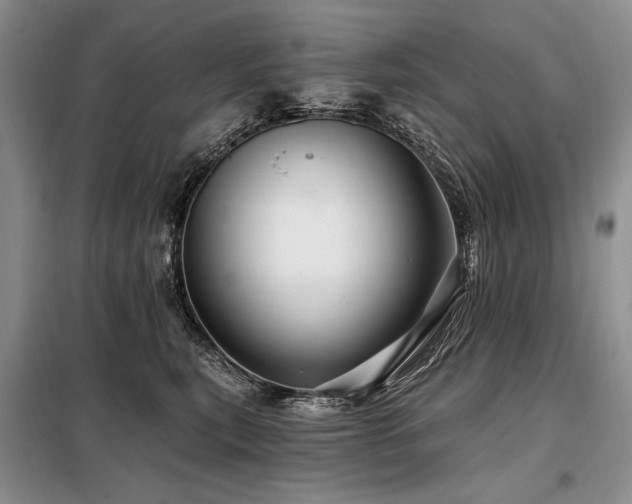 X0000098130567200804171524