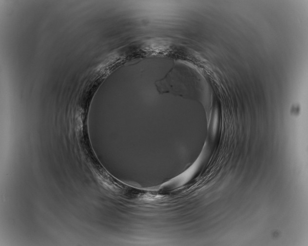 X0000098130570200804171524