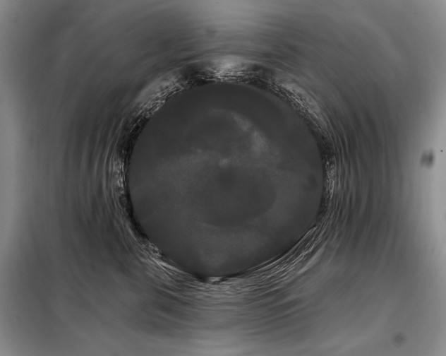 X0000098130571200804171525
