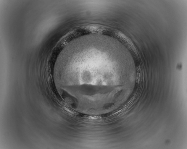 X0000098130573200804171525