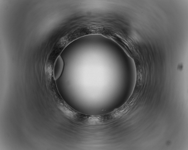 X0000098130574200804171525