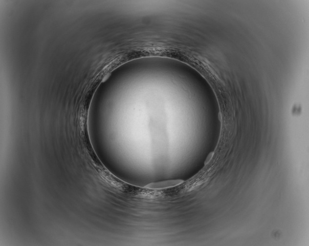 X0000098130576200804171525