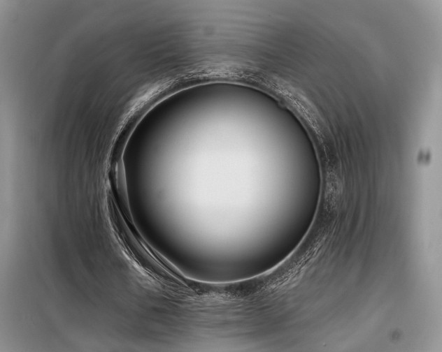 X0000098130578200804171524