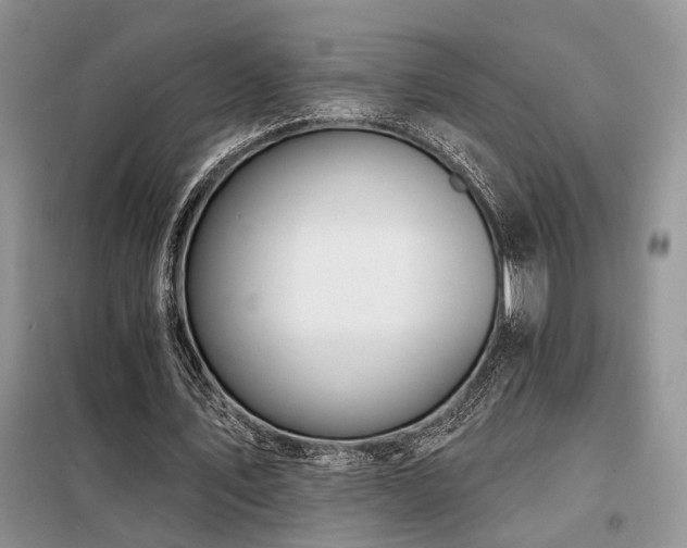 X0000098130579200804171524