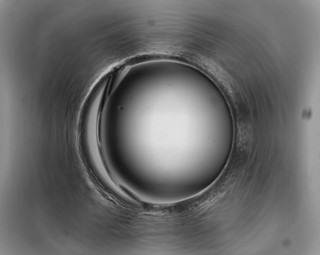 X0000098130580200804171524