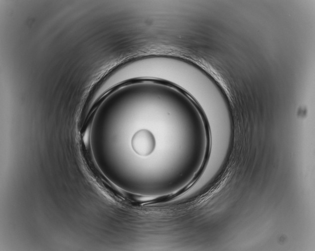 X0000098130581200804171524