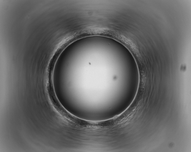 X0000098130582200804171524