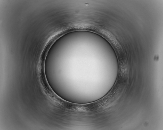 X0000098130583200804171524