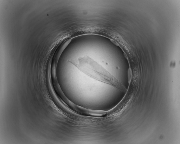 X0000098130585200804171524