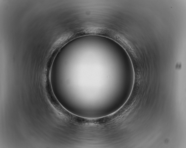 X0000098130586200804171524