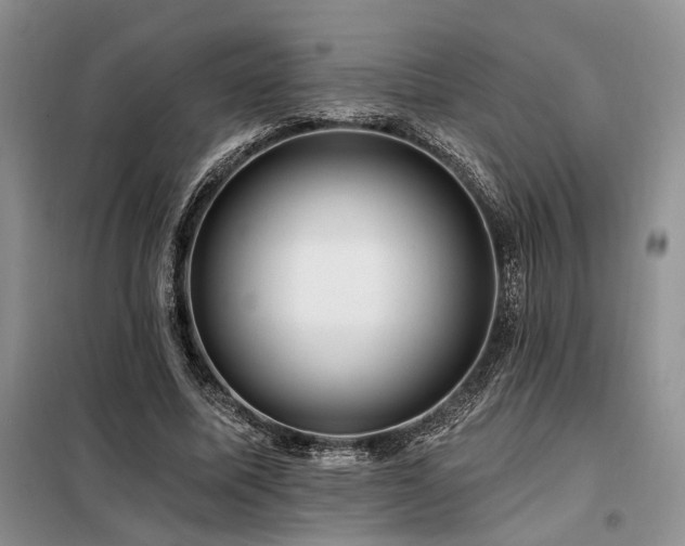X0000098130587200804171524