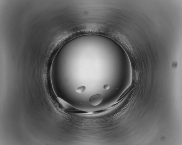 X0000098130588200804171524