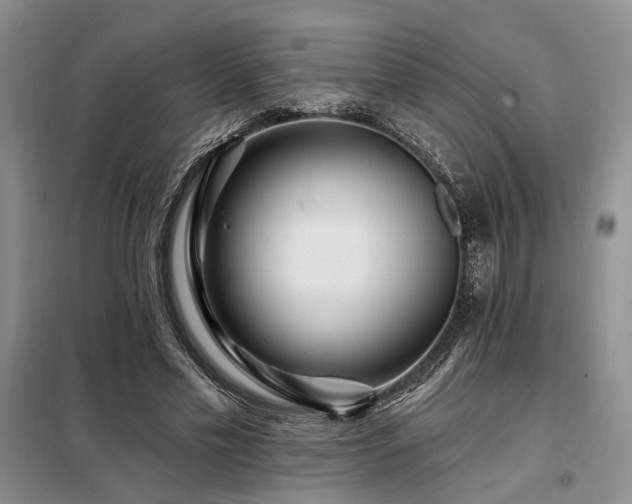 X0000098130589200804171523