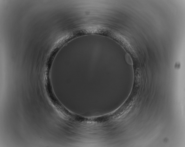 X0000098130590200804171523