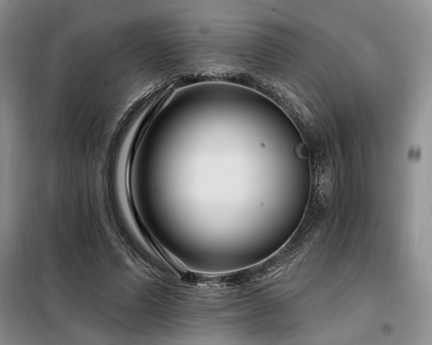 X0000098130591200804171523