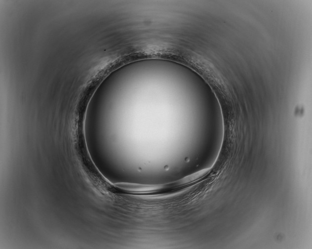 X0000098130592200804171523