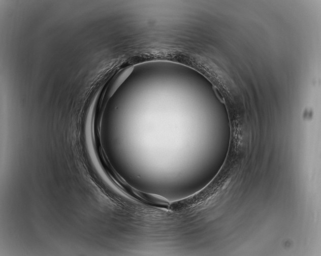 X0000098130593200804171523