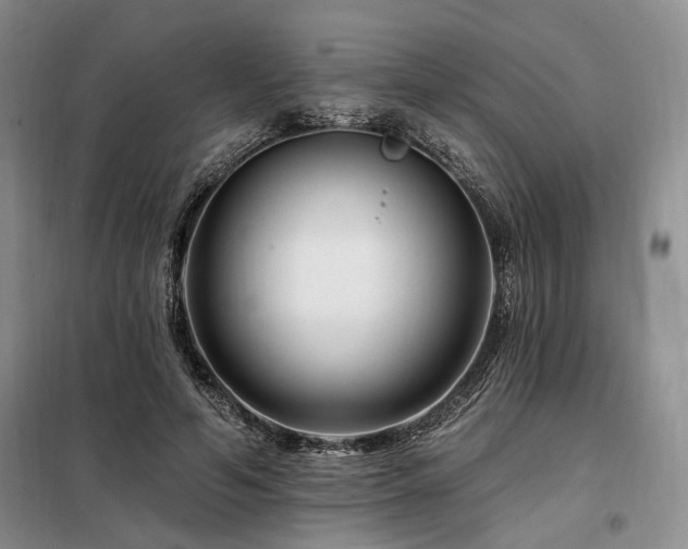 X0000098130594200804171523