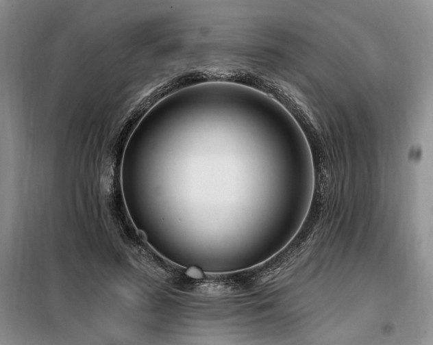 X0000098130596200804171523