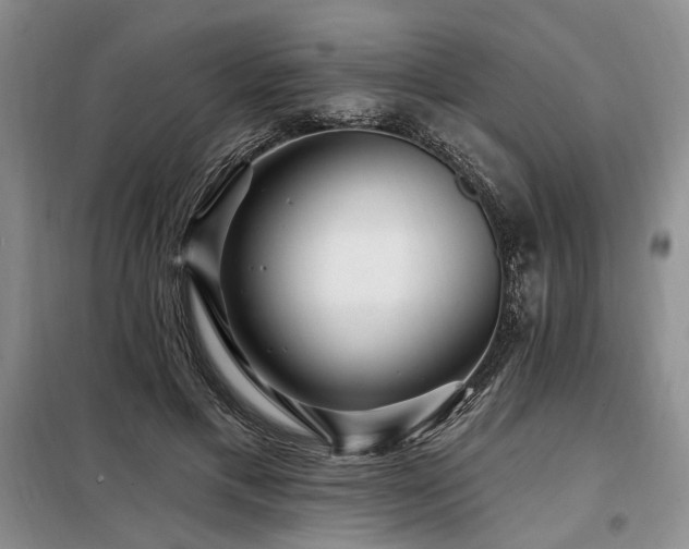 X0000098130597200804171523