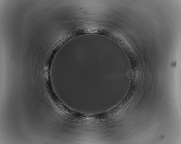 X0000098130598200804171523