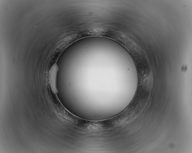 X0000098130599200804171523