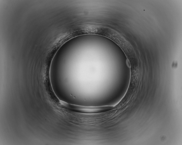 X0000098130600200804171523