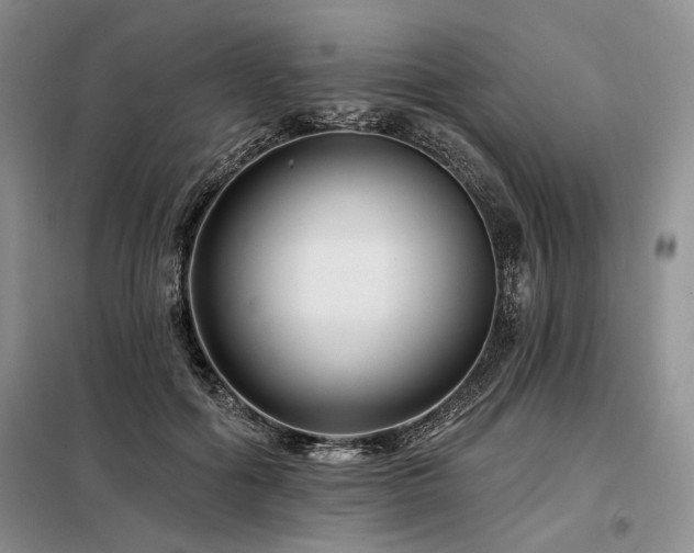 X0000098130602200804171523