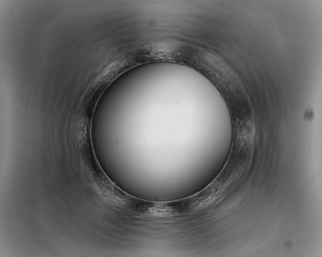 X0000098130603200804171523