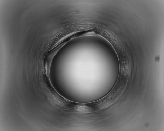X0000098130605200804171523
