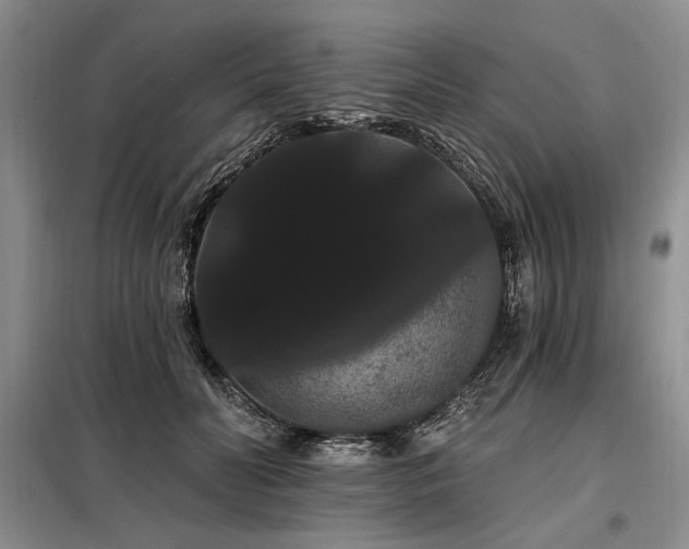 X0000098130606200804171523