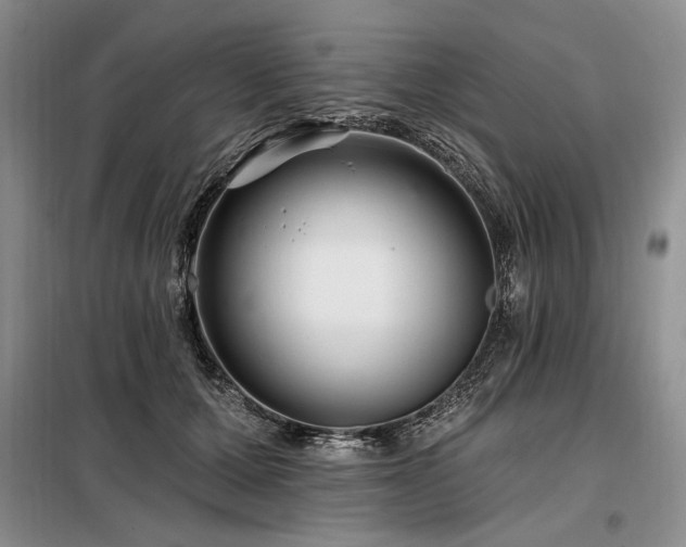 X0000098130607200804171523
