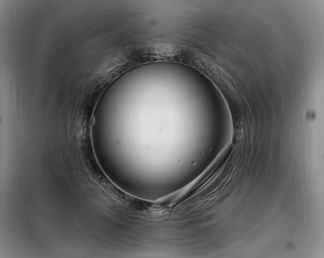 X0000098130608200804171523